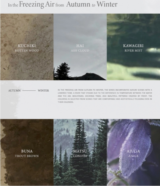 Buy The Favori Nature Edition ver.2 | Brands – K-Beauty Shop